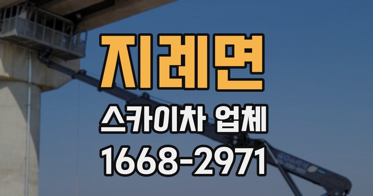 지례면 스카이차 업체