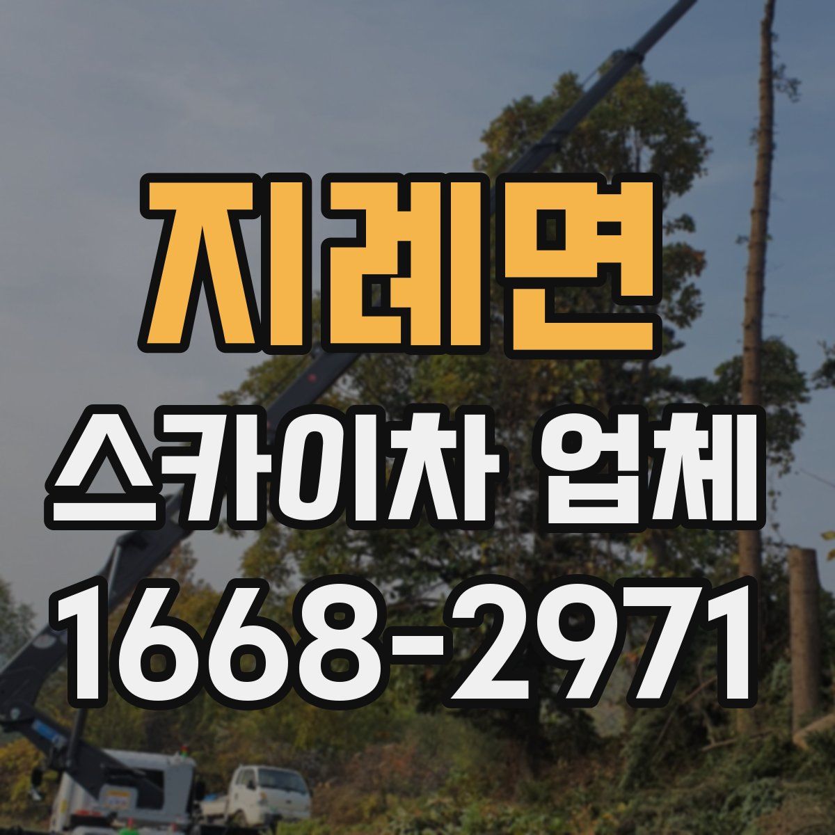 지례면 스카이차 업체