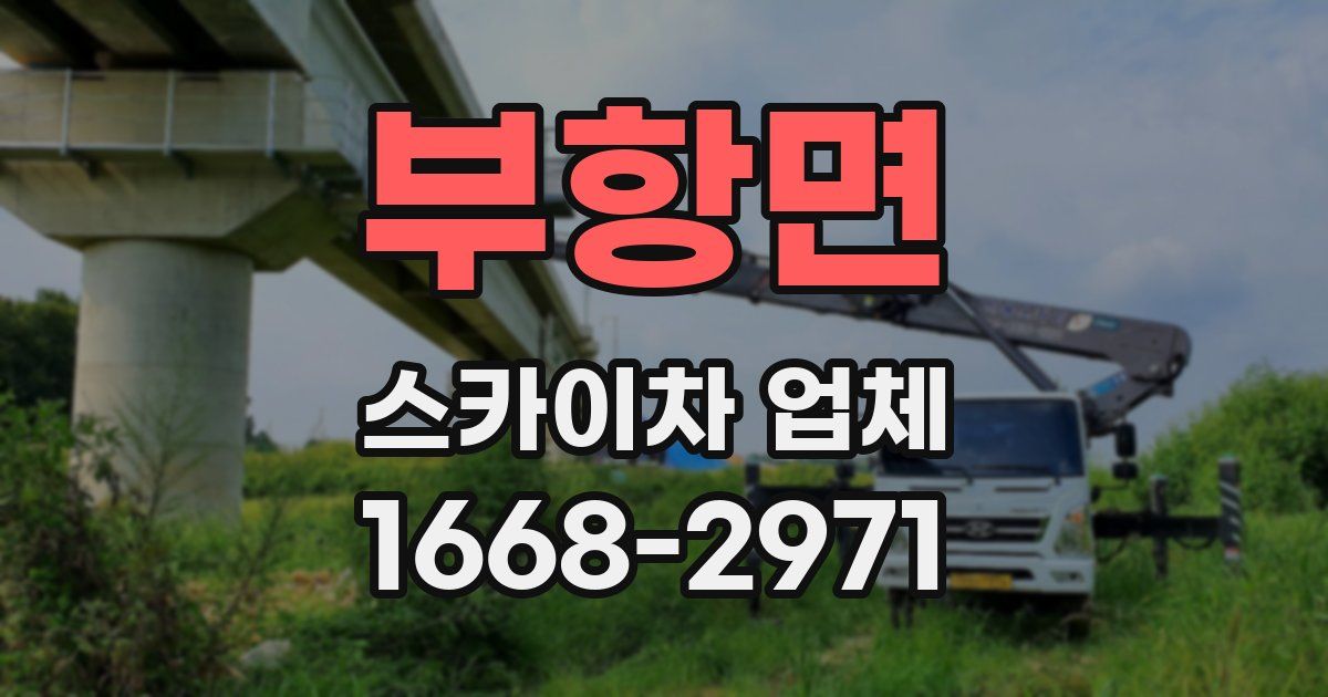 부항면 스카이차 업체
