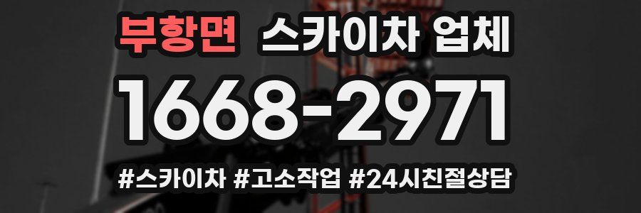 부항면 스카이차 업체