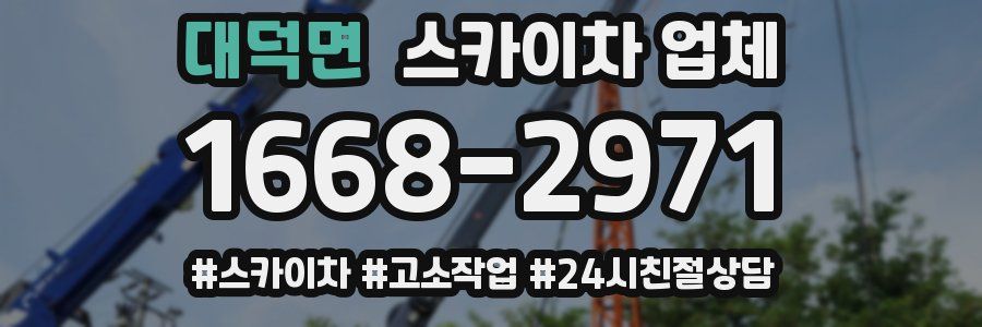 대덕면 스카이차 업체