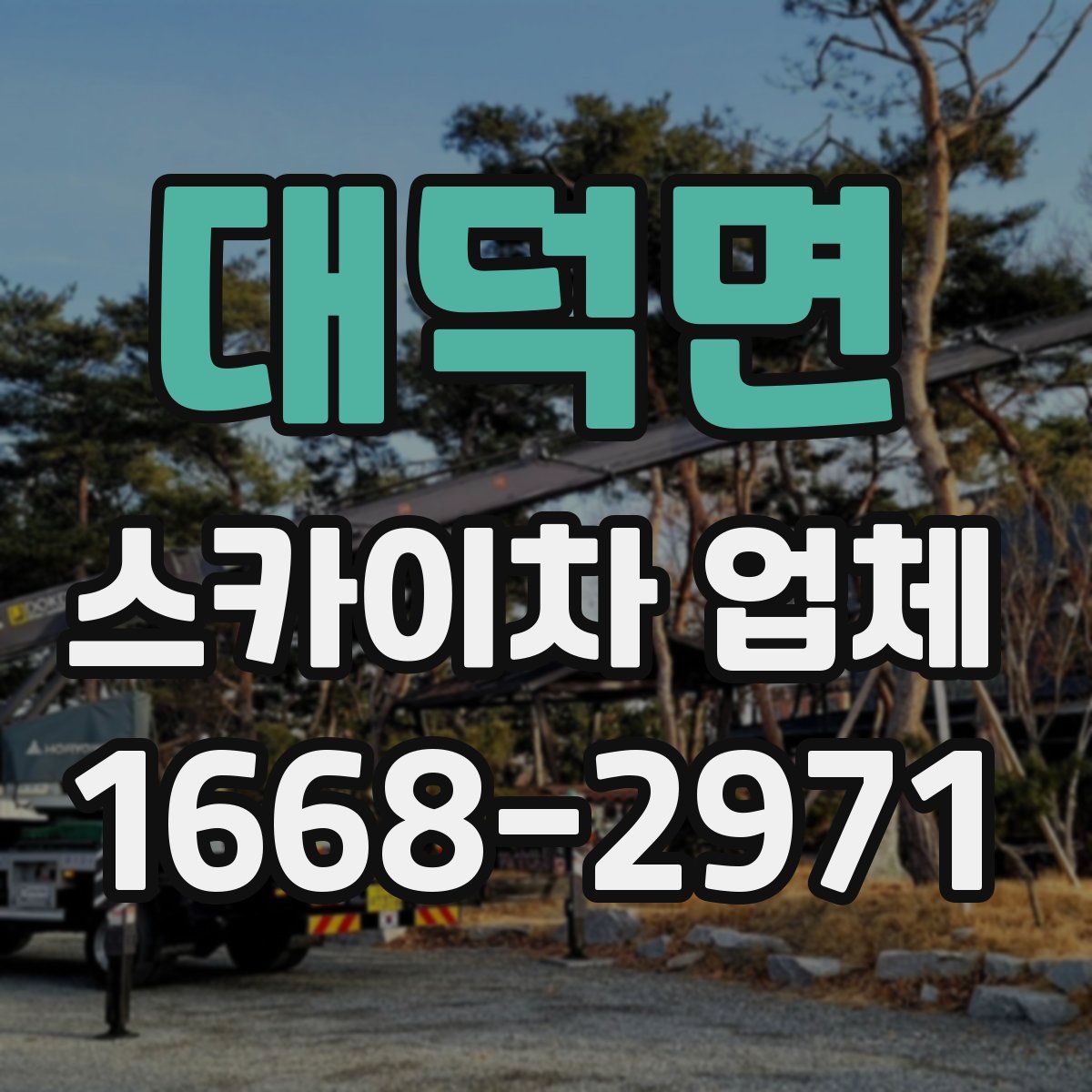 대덕면 스카이차 업체