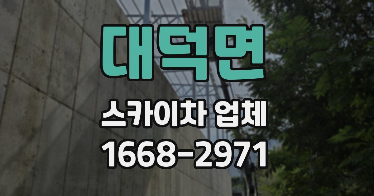 대덕면 스카이차 업체