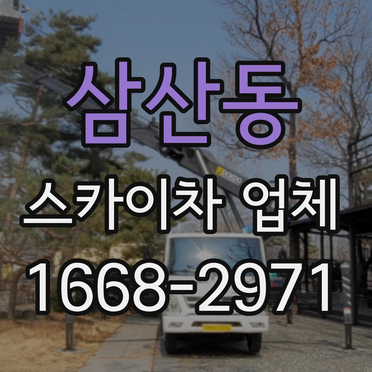 삼산동 스카이차 업체
