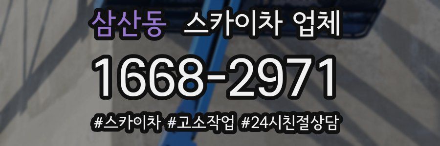 삼산동 스카이차 업체