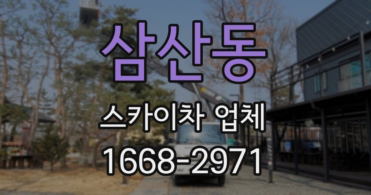 삼산동 스카이차 업체