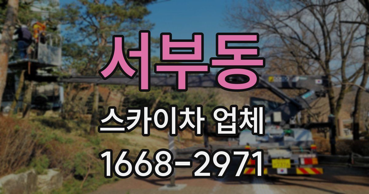 서부동 스카이차 업체