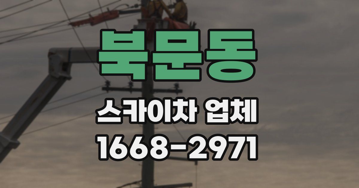 북문동 스카이차 업체