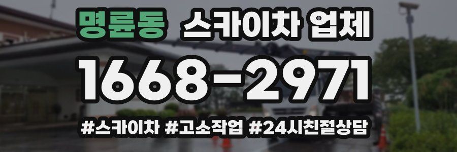 명륜동 스카이차 업체