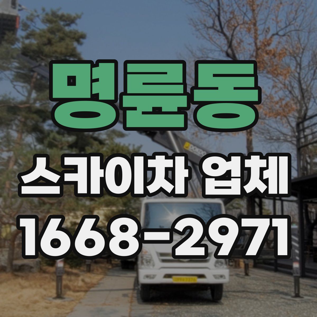 명륜동 스카이차 업체