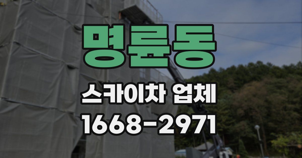 명륜동 스카이차 업체