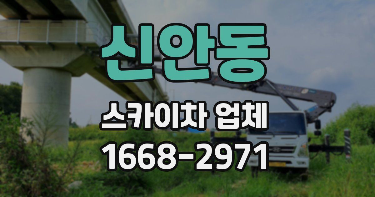 신안동 스카이차 업체