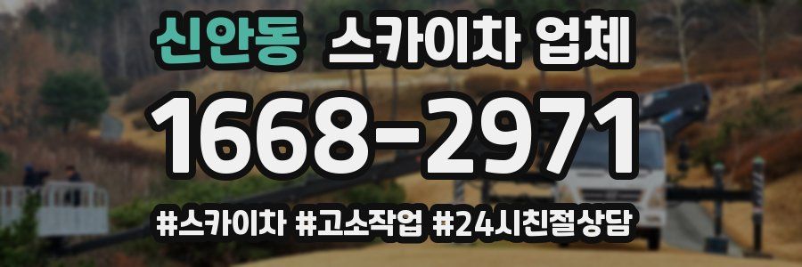 신안동 스카이차 업체