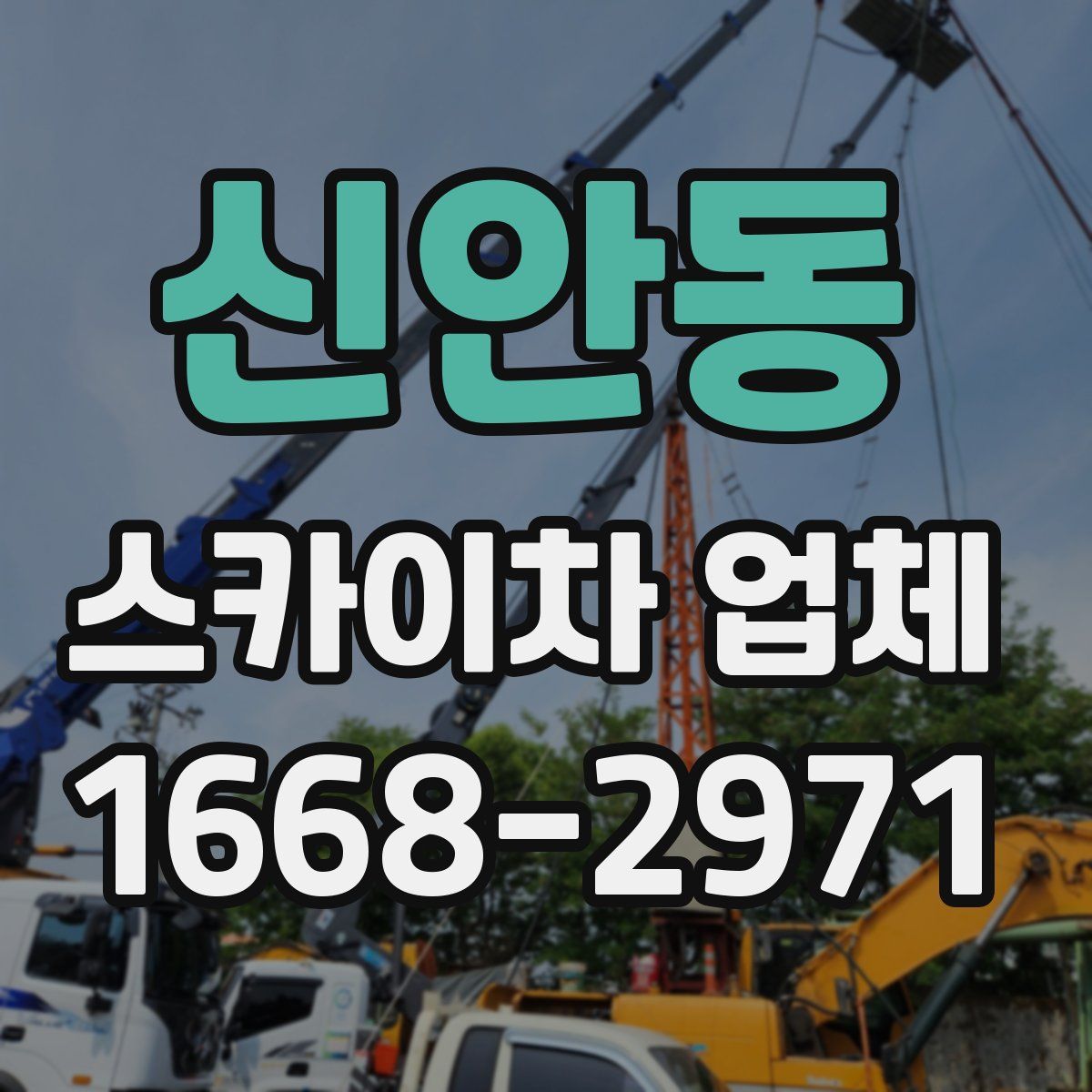 신안동 스카이차 업체