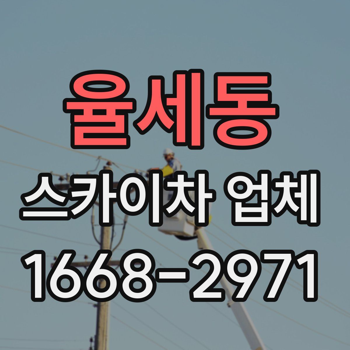 율세동 스카이차 업체
