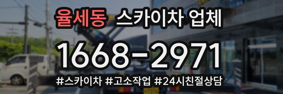 율세동 스카이차 업체