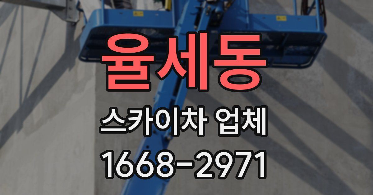 율세동 스카이차 업체