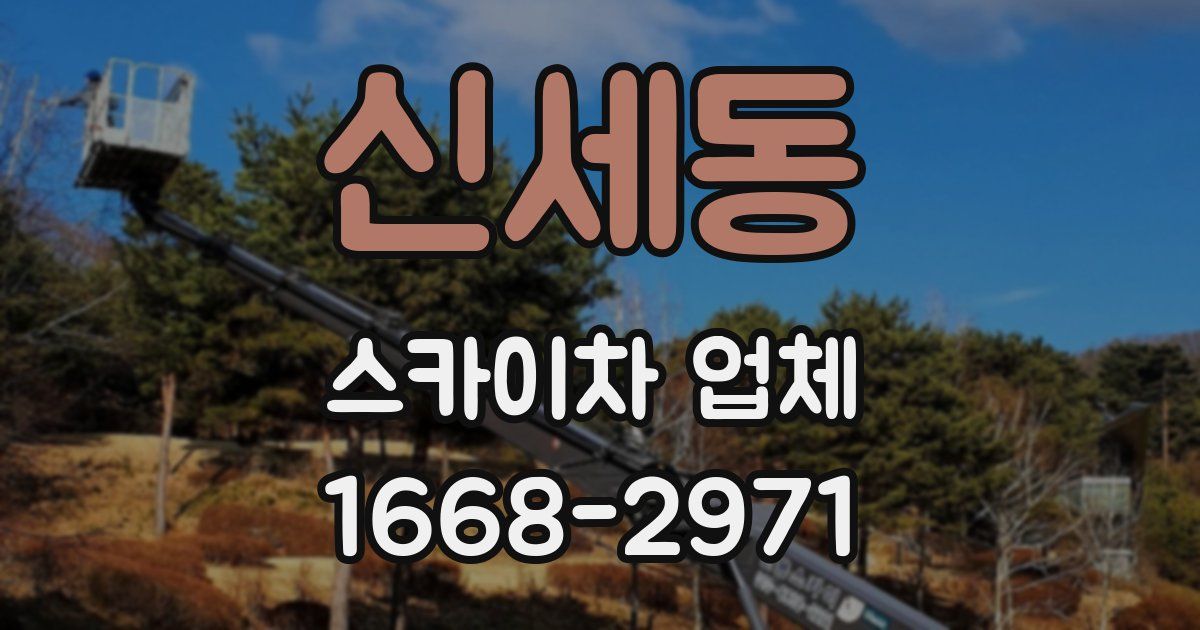 신세동 스카이차 업체