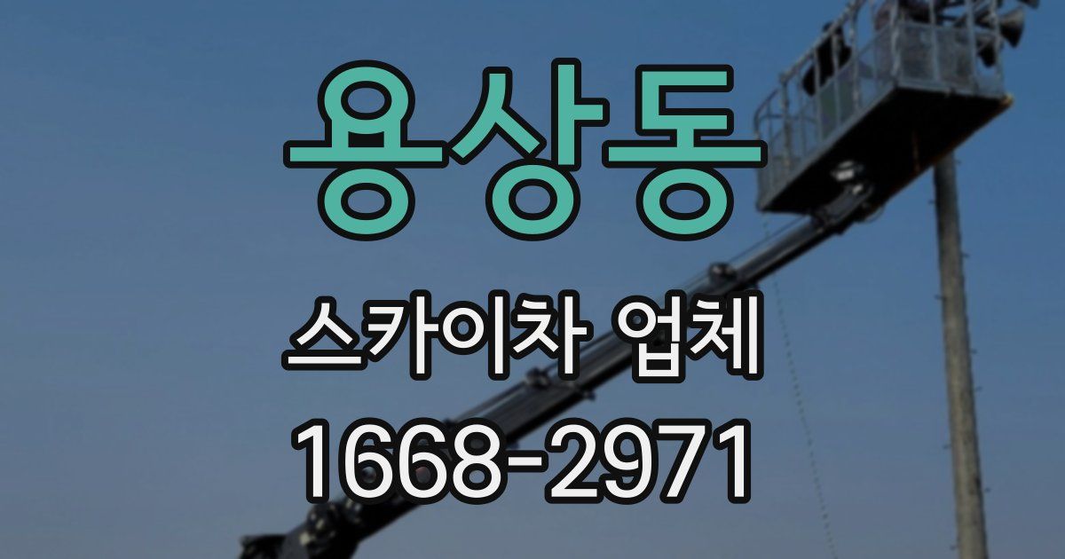 용상동 스카이차 업체