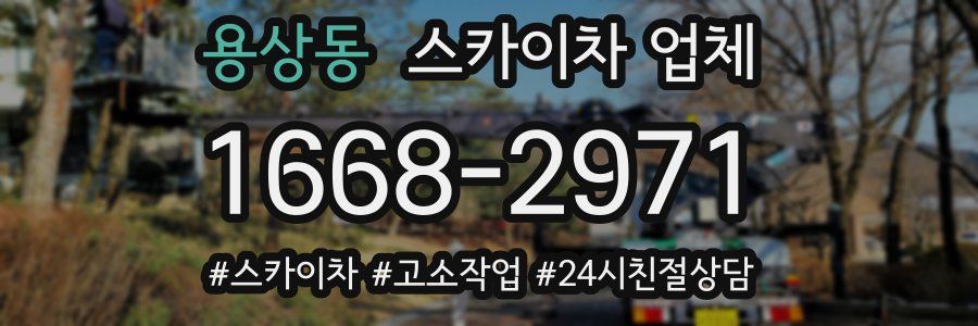 용상동 스카이차 업체