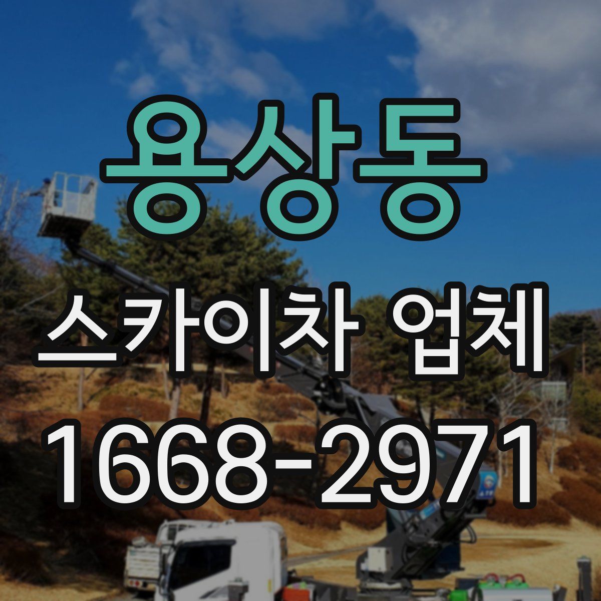 용상동 스카이차 업체