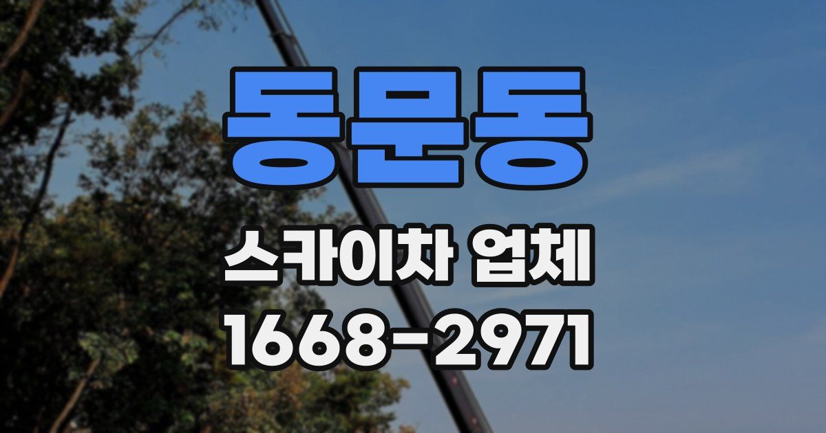 동문동 스카이차 업체