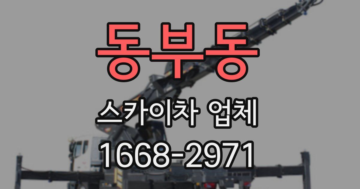 동부동 스카이차 업체