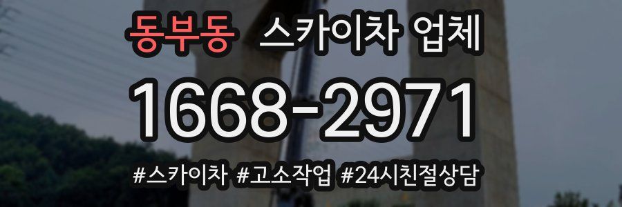 동부동 스카이차 업체