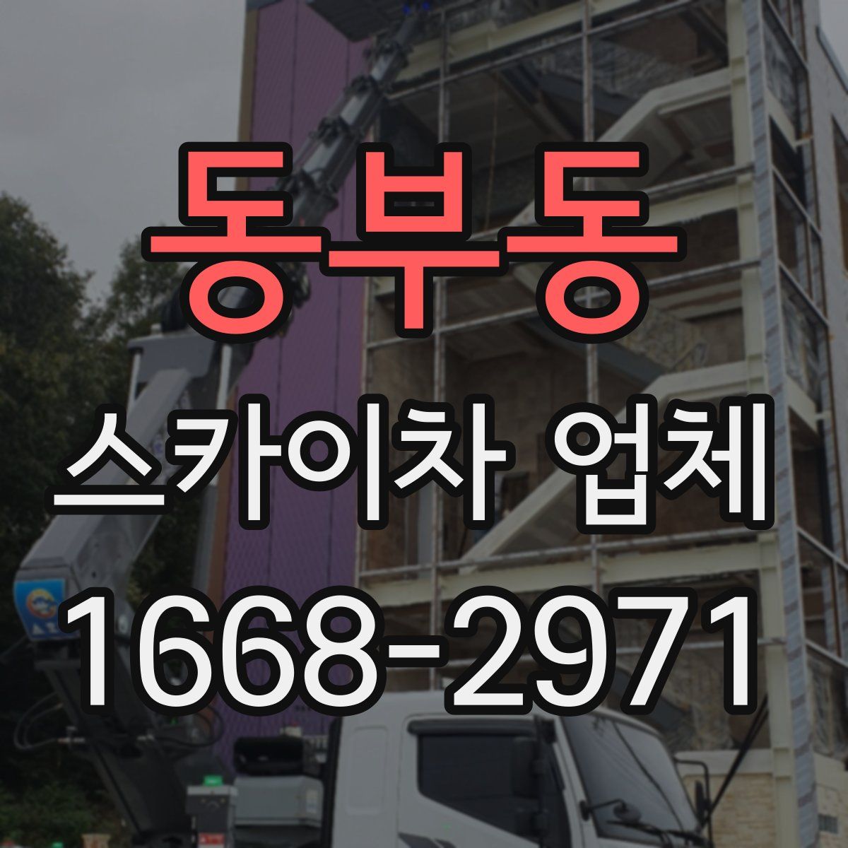 동부동 스카이차 업체