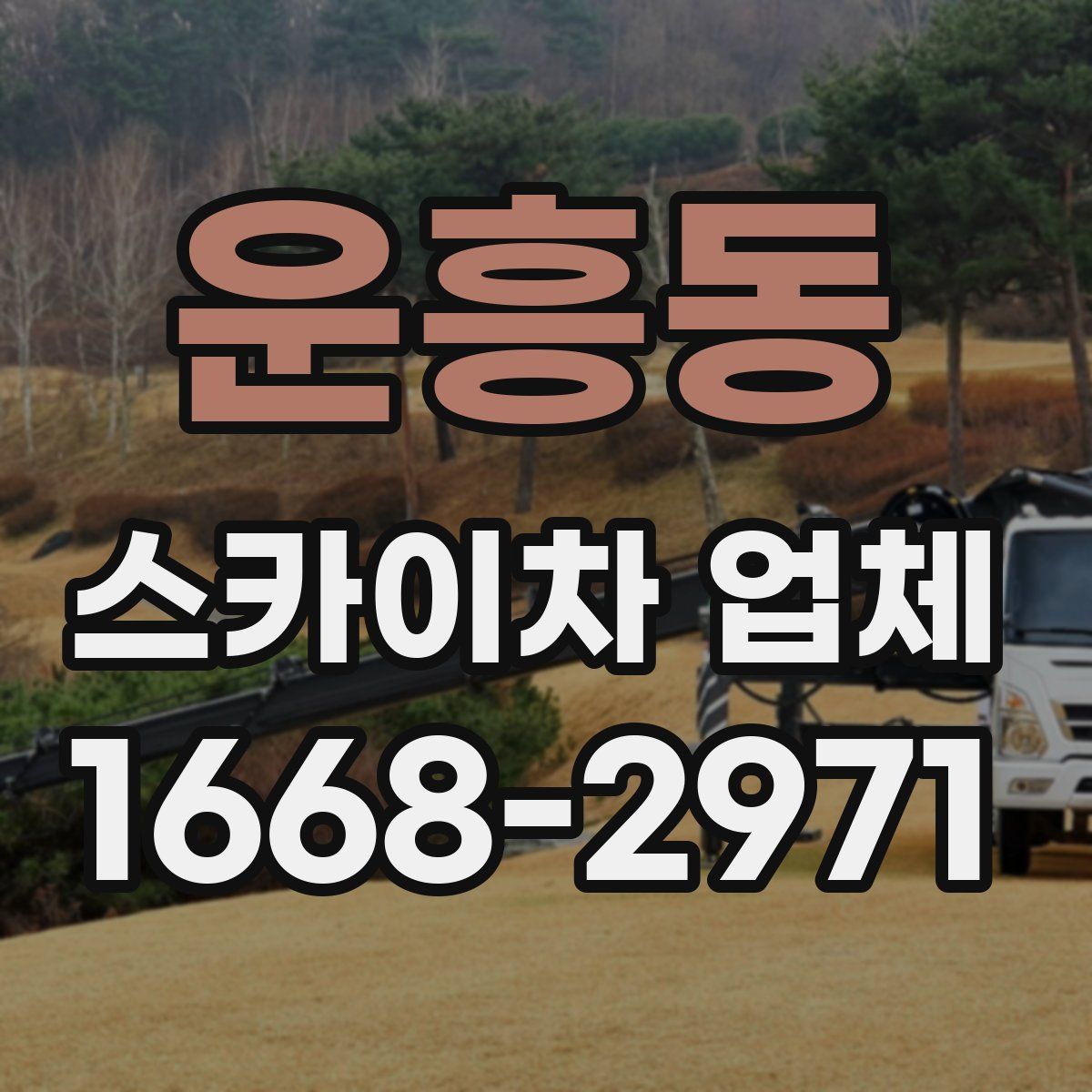 운흥동 스카이차 업체