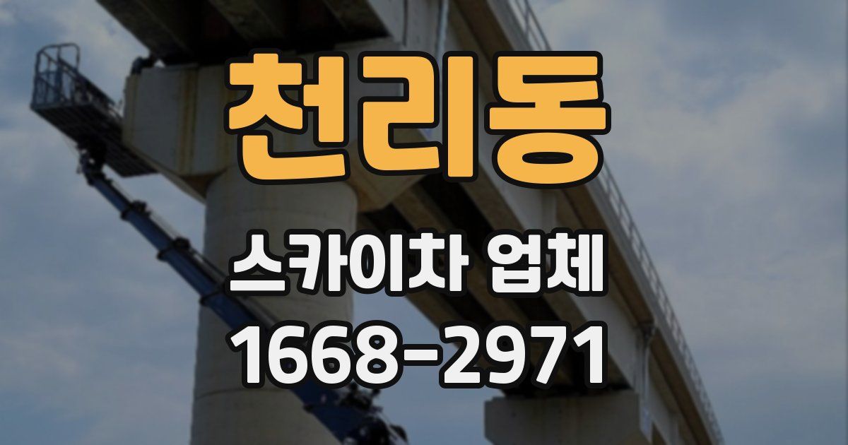 천리동 스카이차 업체