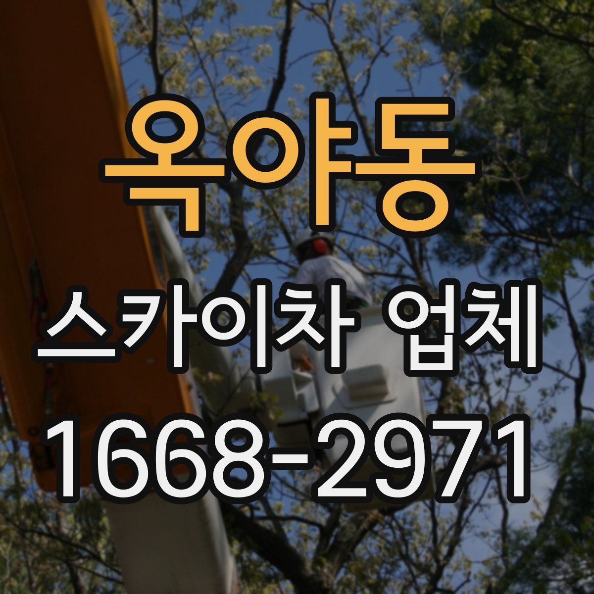 옥야동 스카이차 업체
