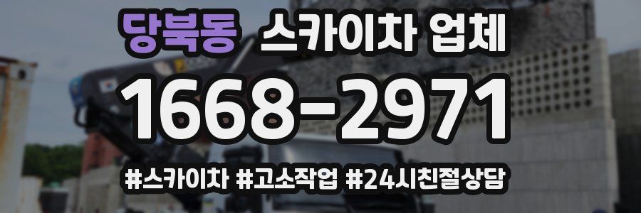 당북동 스카이차 업체
