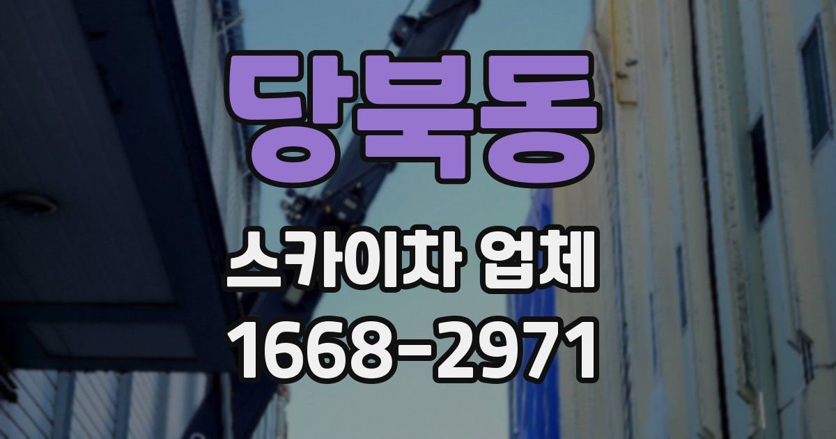 당북동 스카이차 업체