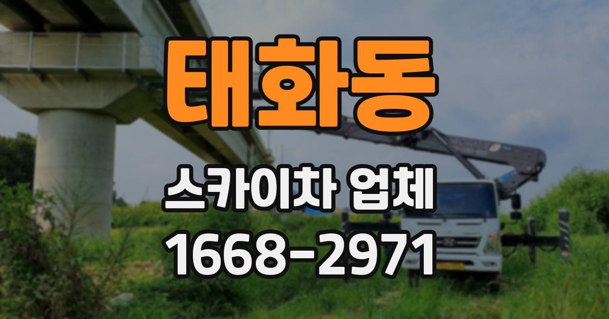 태화동 스카이차 업체