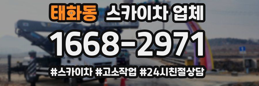 태화동 스카이차 업체