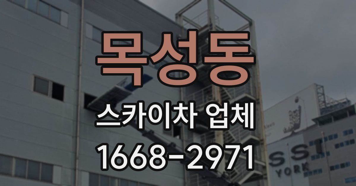 목성동 스카이차 업체