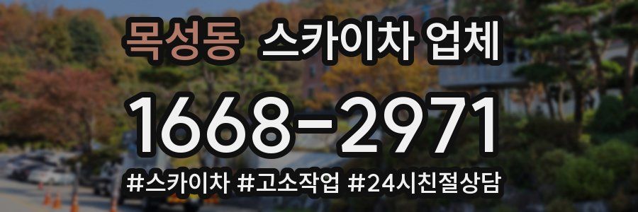 목성동 스카이차 업체