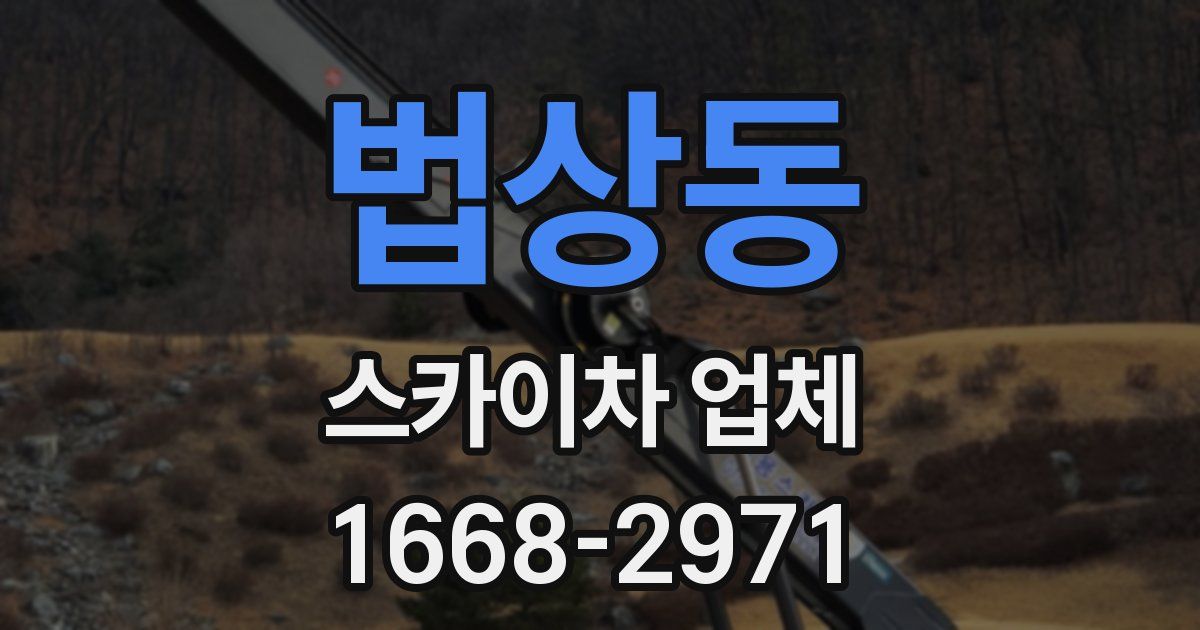 법상동 스카이차 업체