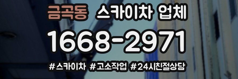 금곡동 스카이차 업체