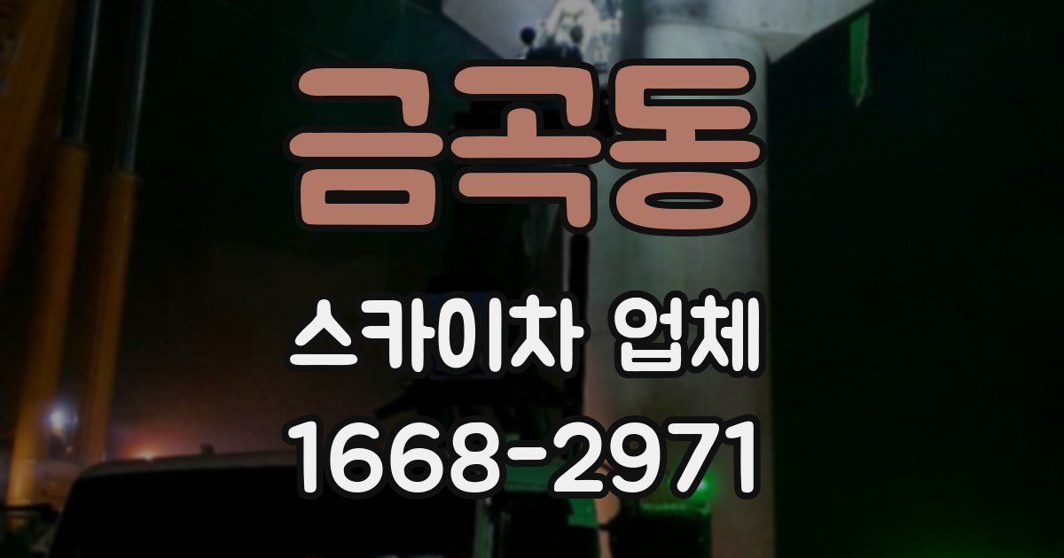 금곡동 스카이차 업체