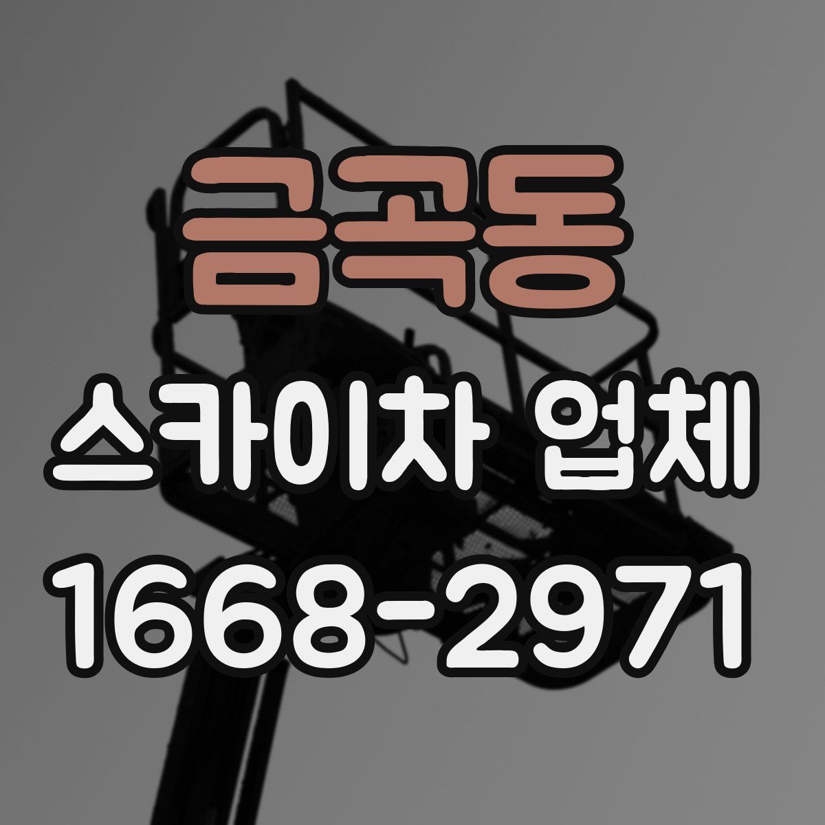 금곡동 스카이차 업체