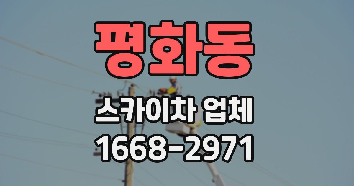 평화동 스카이차 업체