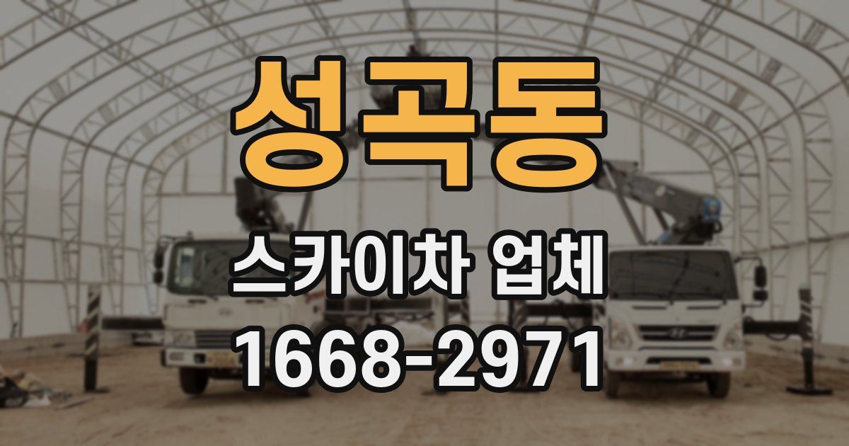 성곡동 스카이차 업체