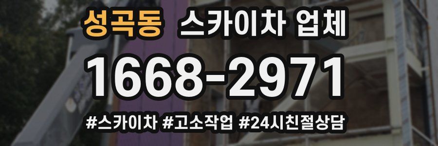 성곡동 스카이차 업체