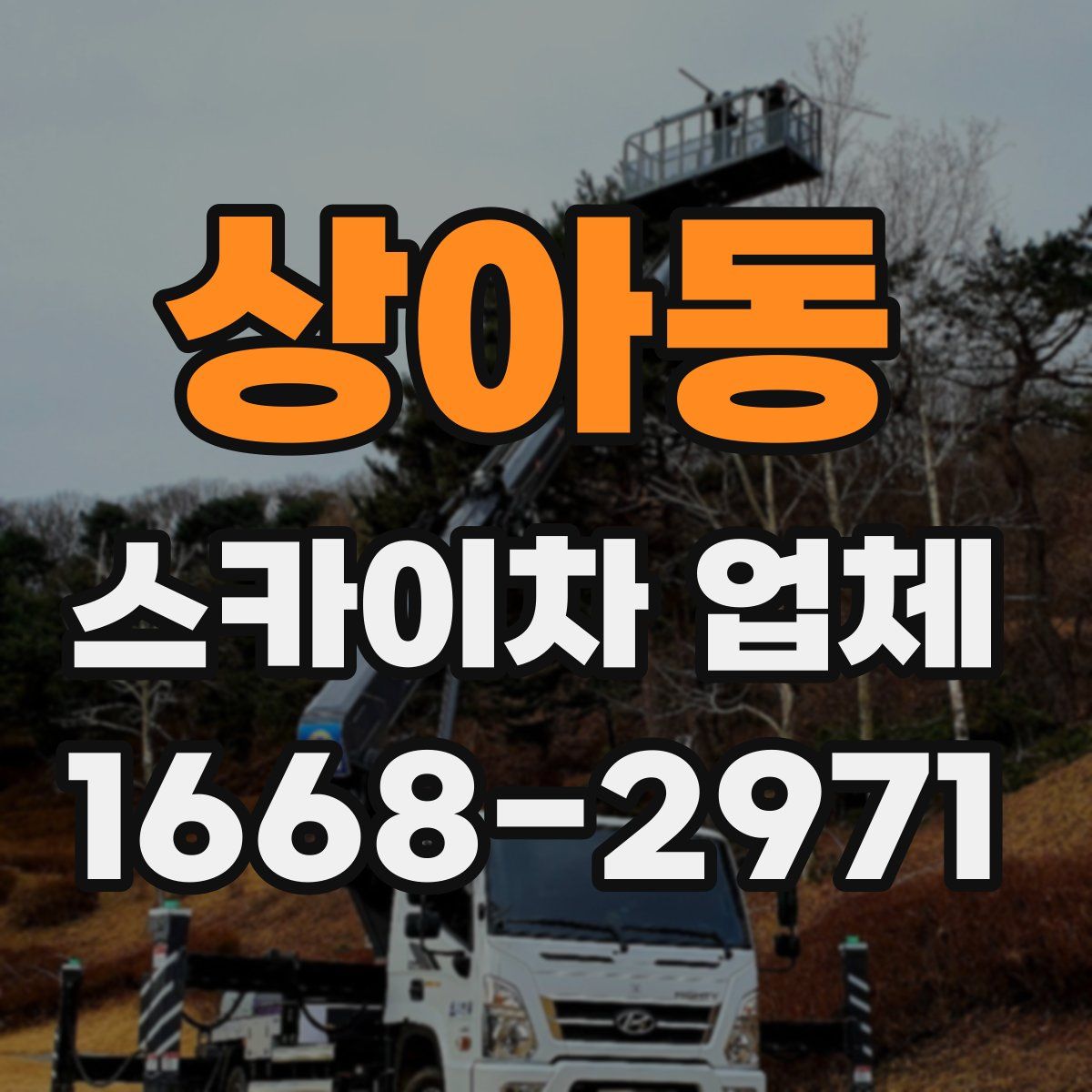 상아동 스카이차 업체