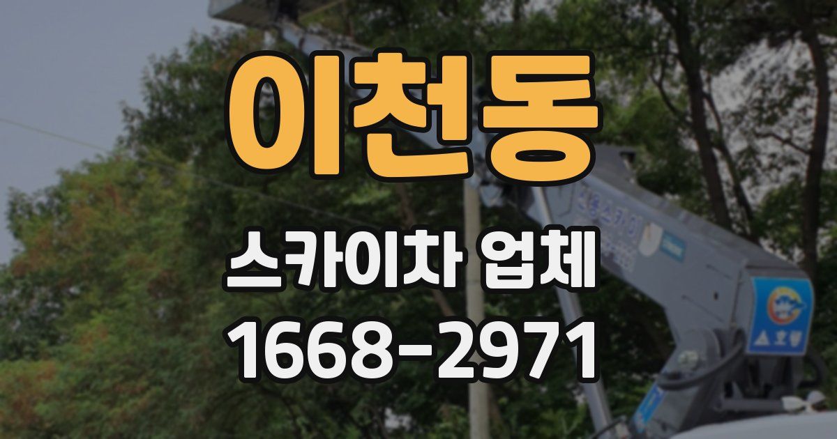이천동 스카이차 업체