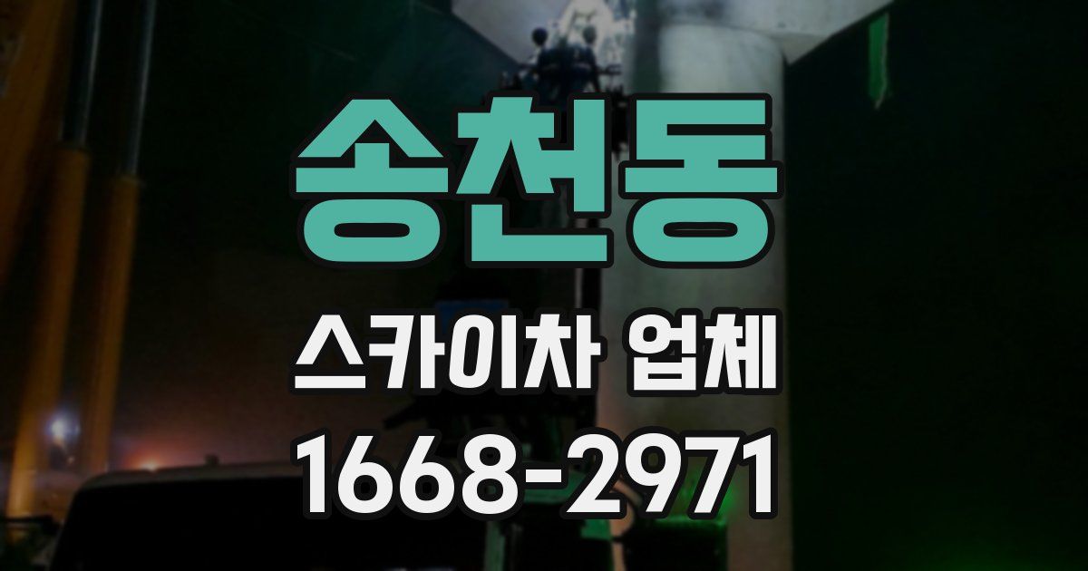송천동 스카이차 업체