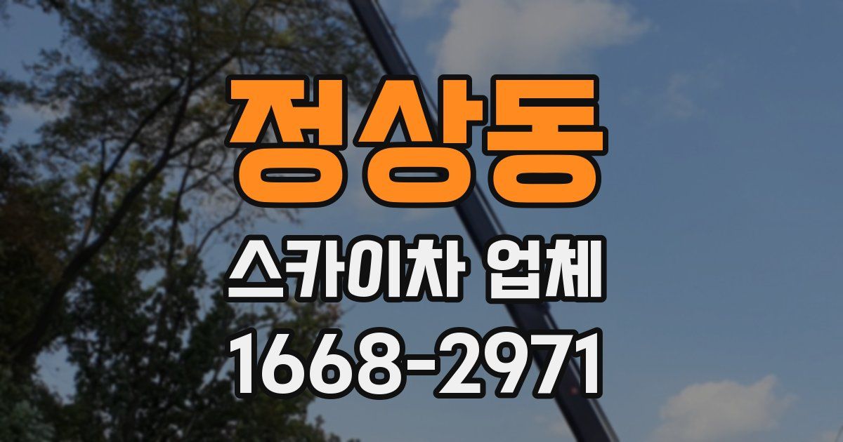정상동 스카이차 업체
