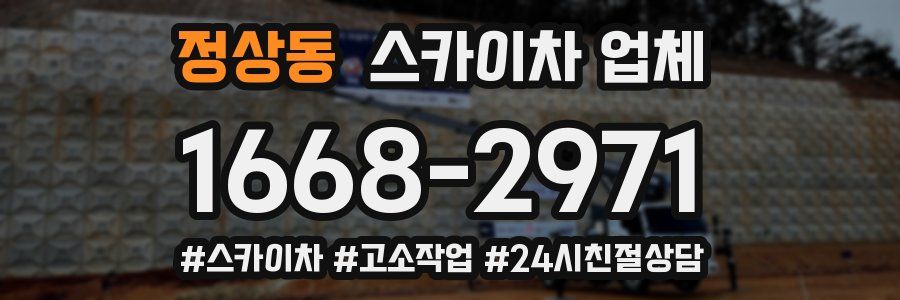 정상동 스카이차 업체